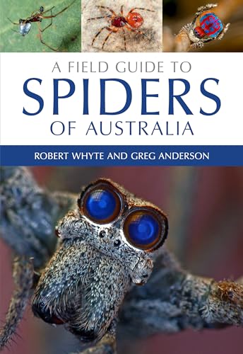 A Field Guide to Spiders of Australia von CSIRO Publishing
