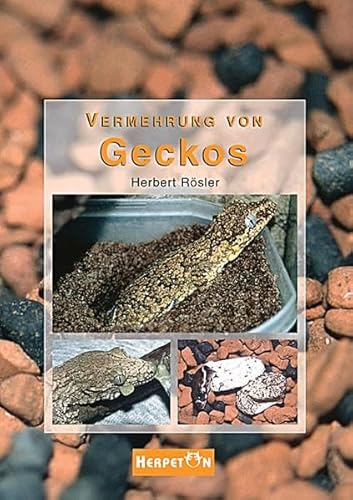 Vermehrung von Geckos: Grundlagen, Anleitungen und Erfahrungen zur erfolgreichen Zucht