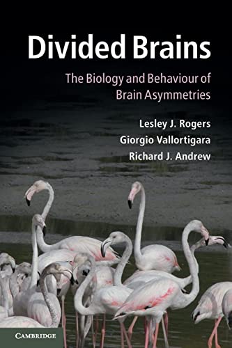 Divided Brains: The Biology and Behaviour of Brain Asymmetries von Cambridge University Press