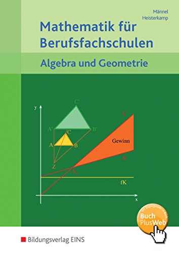 Mathematik für Berufsfachschulen: Algebra und Geometrie Schulbuch von Westermann Berufliche Bildung