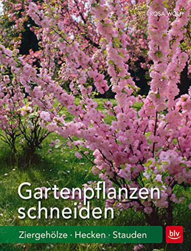 Gartenpflanzen schneiden: Ziergehölze, Hecken, Stauden (BLV Gartenpraxis)