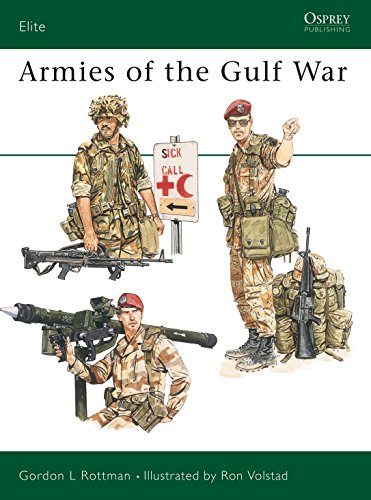 Gulf War (Elite Series, 45, Band 45)