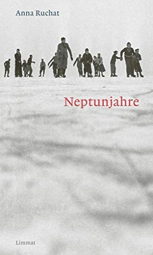 Neptunjahre: Erzählungen von Limmat Verlag