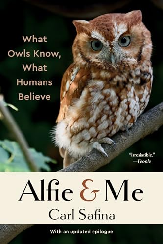 Alfie and Me: What Owls Know, What Humans Believe von WW Norton & Co