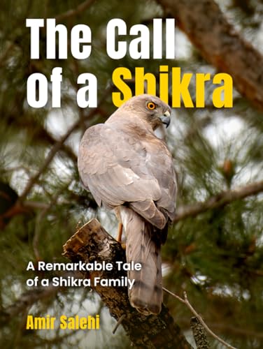 The Call of a Shikra: A Remarkable Tale of a Shikra Family