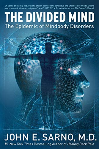 The Divided Mind: The Epidemic of Mindbody Disorders von Harper Perennial