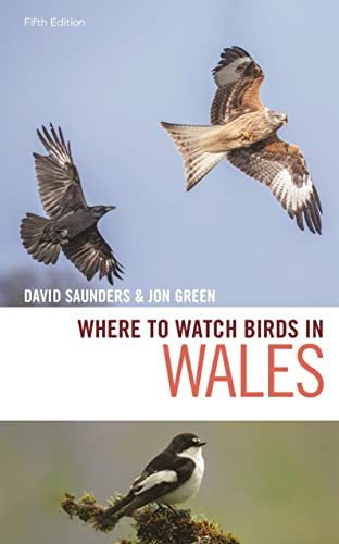 Where to Watch Birds in Wales von Helm