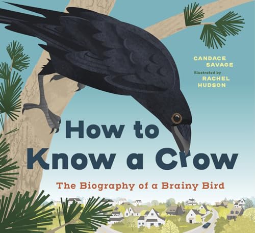 How to Know a Crow: The Biography of a Brainy Bird von Greystone Kids