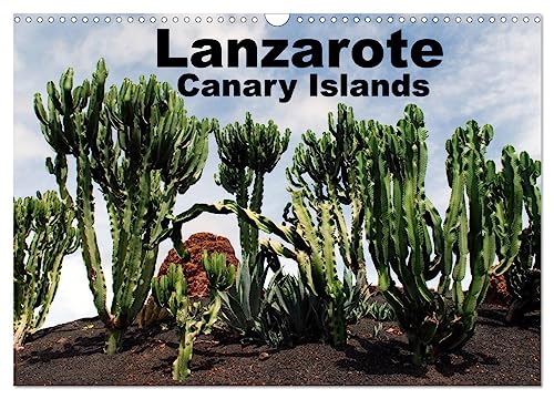 Lanzarote - Canary Islands (Wall Calendar 2025 DIN A3 landscape), CALVENDO 12 Month Wall Calendar: Fantastic Views von Calvendo