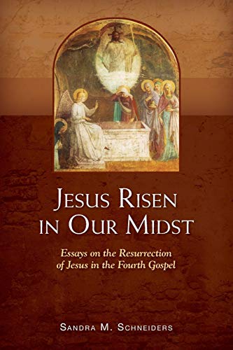 Jesus Risen in Our Mist: Essays On The Resurrection Of Jesus In The Fourth Gospel von Liturgical Press