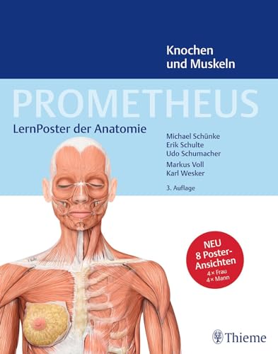 PROMETHEUS LernPoster der Anatomie, Knochen und Muskeln von Thieme