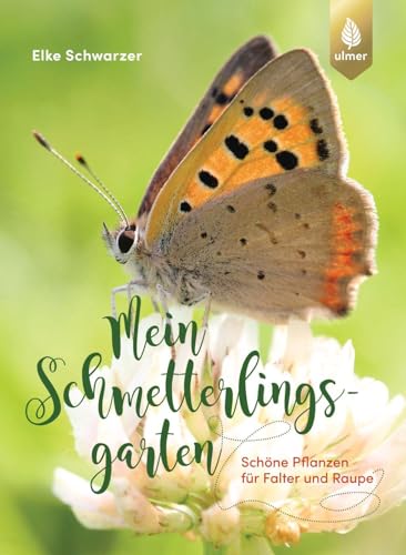 Mein Schmetterlingsgarten: Schöne Pflanzen für Falter und Raupe