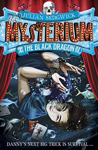 Mysterium: The Black Dragon: Book 1 von Hachette Children's Book