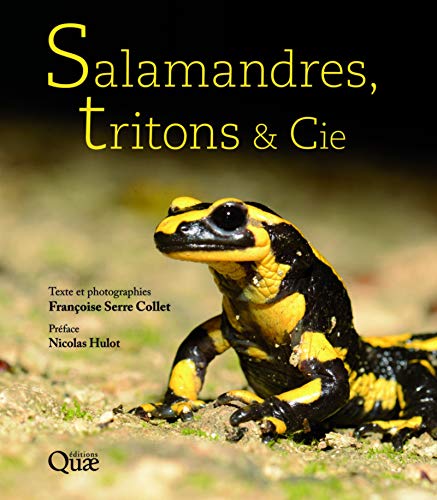 Salamandres, tritons et Cie: Préface Nicolas Hulot