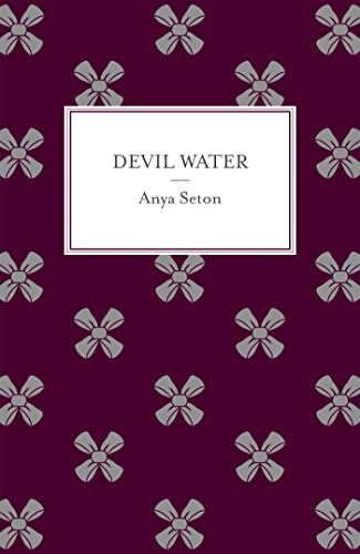 Devil Water von Hodder & Stoughton