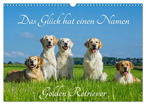 Das Glück hat einen Namen - Golden Retriever (Wandkalender 2025 DIN A3 quer), CALVENDO Monatskalender von CALVENDO