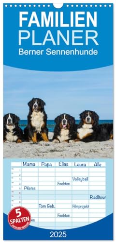 Familienplaner 2025 - Berner Sennenhund 2025 mit 5 Spalten (Wandkalender, 21 cm x 45 cm), CALVENDO