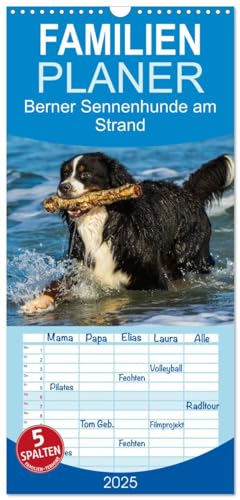 Familienplaner 2025 - Berner Sennenhunde am Strand mit 5 Spalten (Wandkalender, 21 cm x 45 cm), CALVENDO von CALVENDO