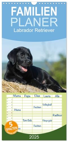 Familienplaner 2025 - Labrador Retriever 2025 mit 5 Spalten (Wandkalender, 21 cm x 45 cm), CALVENDO