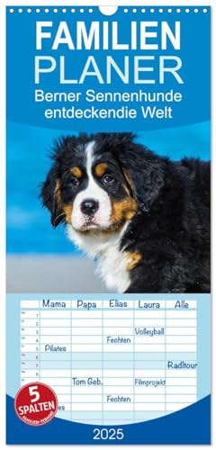 Familienplaner 2025 - Seebärchen entdecken die Welt - Berner Sennenhunde mit 5 Spalten (Wandkalender, 21 cm x 45 cm), CALVENDO