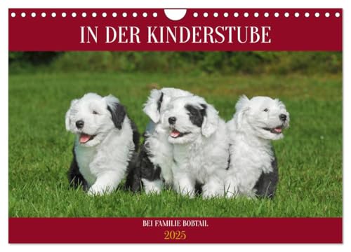 In der Kinderstube bei Familie Bobtail (Wandkalender 2025 DIN A4 quer), CALVENDO Monatskalender von CALVENDO