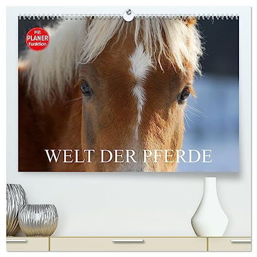 Welt der Pferde (hochwertiger Premium Wandkalender 2025 DIN A2 quer), Kunstdruck in Hochglanz von CALVENDO