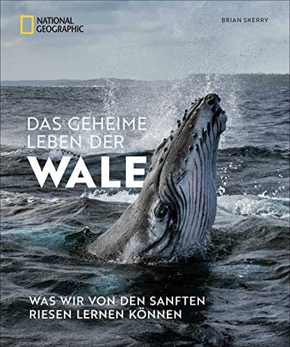 Bildband: Das geheime Leben der Wale. Was wir von den sanften Riesen lernen können. Mit Fotos von preisgekrönten National Geographic Fotografen.: Was wir von den sanften Riesen lernen können von National Geographic