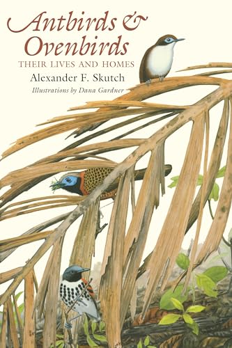 Antbirds and Ovenbirds: Their Lives and Homes (Corrie Herring Hooks Series)