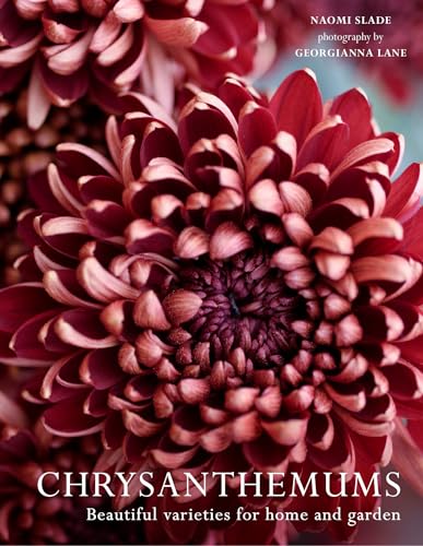 Chrysanthemums: The ultimate guide for growing and cutting flower varieties for the home and garden