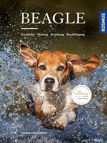 Beagle: Geschichte, Haltung, Erziehung, Beschäftigung von Kosmos
