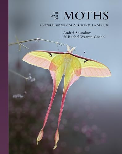 The Lives of Moths: A Natural History of Our Planet's Moth Life (The Lives of the Natural World, 1) von Princeton University Press