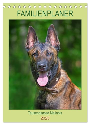 Familienplaner Tausendsassa Malinois (Tischkalender 2025 DIN A5 hoch), CALVENDO Monatskalender von CALVENDO