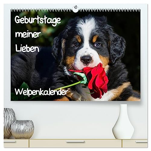 Geburtstage meiner Lieben - Welpenkalender (hochwertiger Premium Wandkalender 2025 DIN A2 quer), Kunstdruck in Hochglanz von CALVENDO