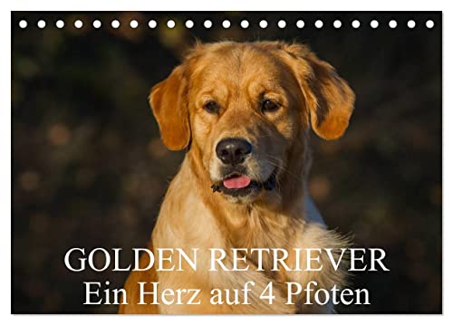 Golden Retriever - Ein Herz auf 4 Pfoten (Tischkalender 2025 DIN A5 quer), CALVENDO Monatskalender von CALVENDO