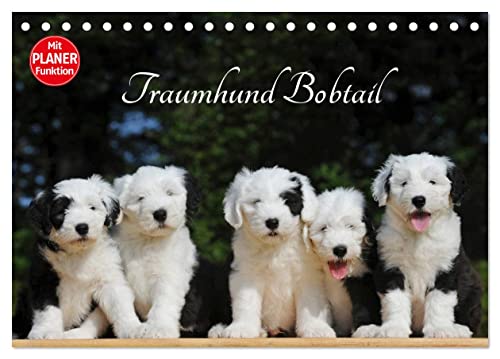 Traumhund Bobtail (Tischkalender 2025 DIN A5 quer), CALVENDO Monatskalender von CALVENDO