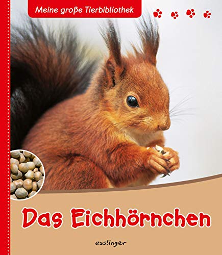 Das Eichhörnchen (Meine große Tierbibliothek)