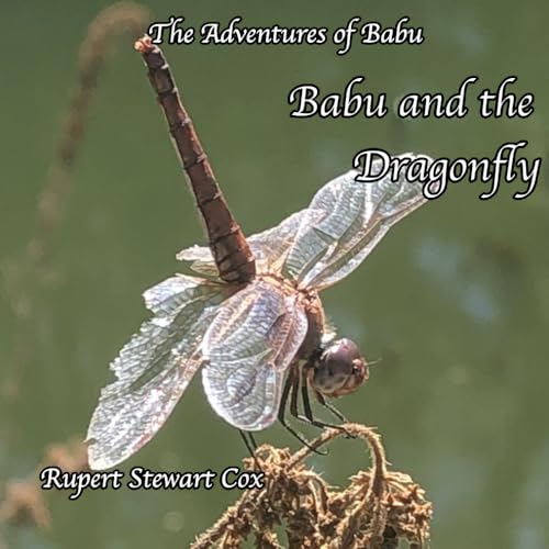 Babu and the Dragonfly (The Adventures of Babu) von Independently published