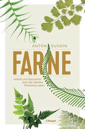 Farne: Vielfalt und Geschichte einer der ältesten Pflanzengruppen von Haupt Verlag AG