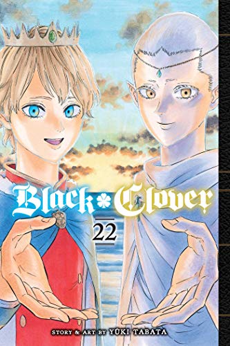 Black Clover, Vol. 22: Volume 22 (BLACK CLOVER GN, Band 22)