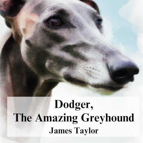 Dodger The Amazing Greyhound (The Emotional Adventures Series)
