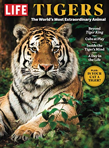 LIFE Tigers: The World's Most Extraordinary Animal