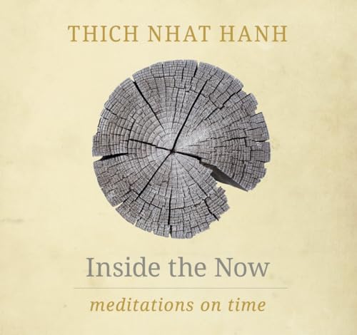 Inside the Now: Meditations on Time von Parallax Press