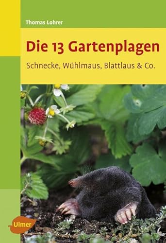 Die 13 Gartenplagen: Schnecke, Wühlmaus, Blattlaus & Co.