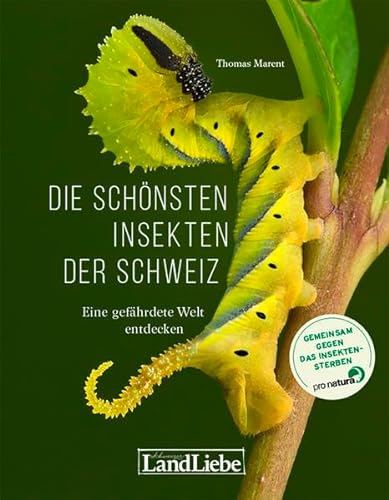 Die schönsten Insekten der Schweiz: Eine gefährdete Welt entdecken von LandLiebe-Edition