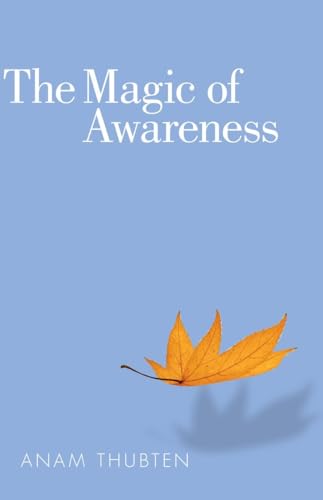 The Magic of Awareness von Shambhala