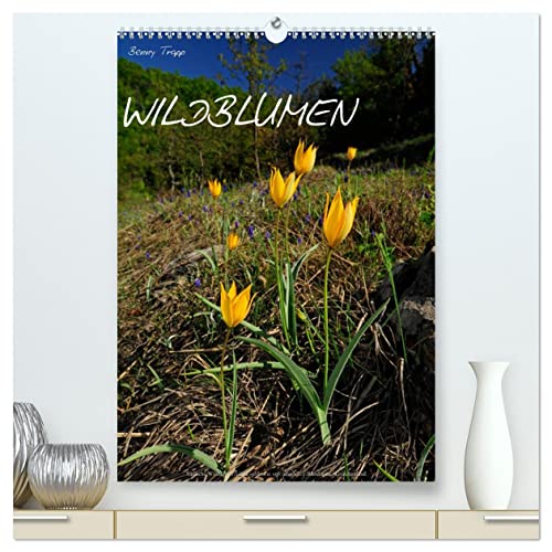 WILDBLUMEN (hochwertiger Premium Wandkalender 2025 DIN A2 hoch), Kunstdruck in Hochglanz von CALVENDO