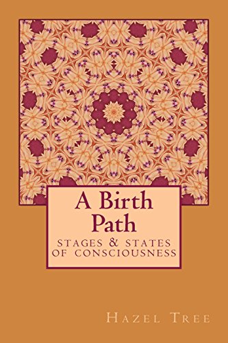 A Birth Path: stages & states of consciousness von CreateSpace Independent Publishing Platform