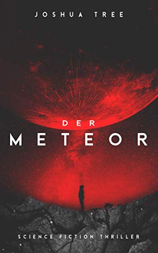 Der Meteor: Science Fiction Thriller von Independently published