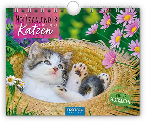 Trötsch Notizkalender Querformat Notizkalender Katzen 2024 - mit 12 Postkarten: Wandkalender Notizkalender