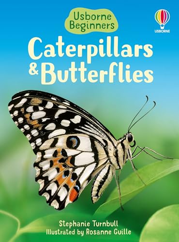 Caterpillars and Butterflies (Beginners) von Usborne